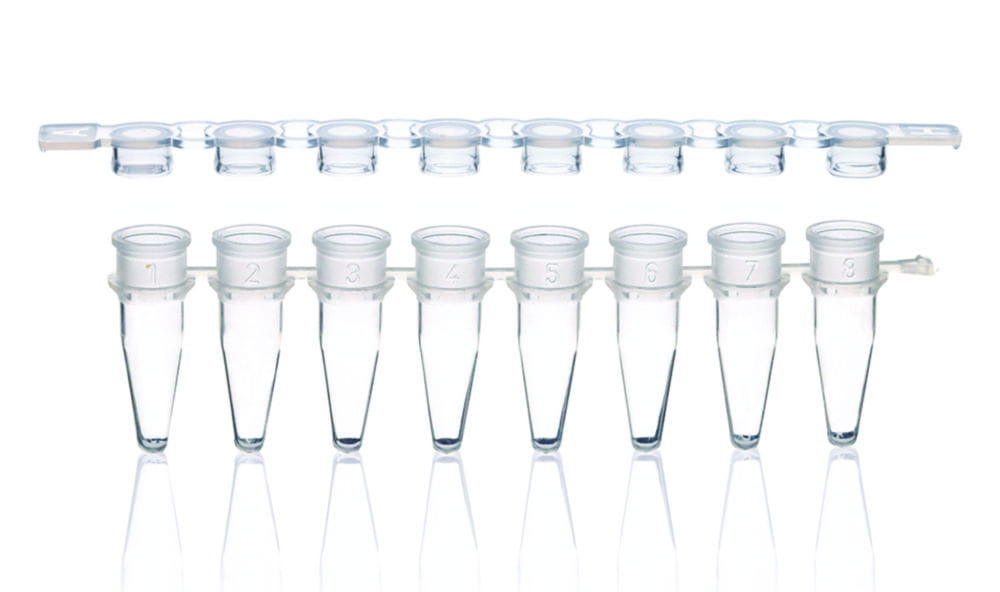 PCR-Gefäße 8er-Strips, PP, mit separatem Deckelstreifen