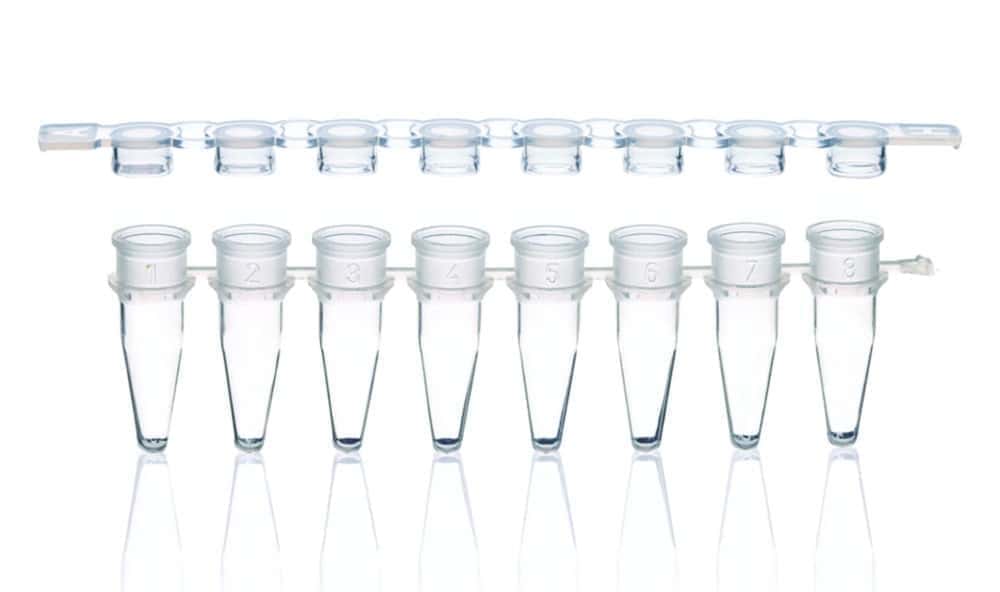 PCR tubes strips of 8, PP, with detached cap strips