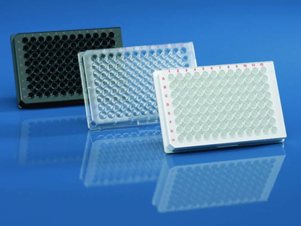 Zellkultur-Platten BRANDplates® cellGrade™ premium
