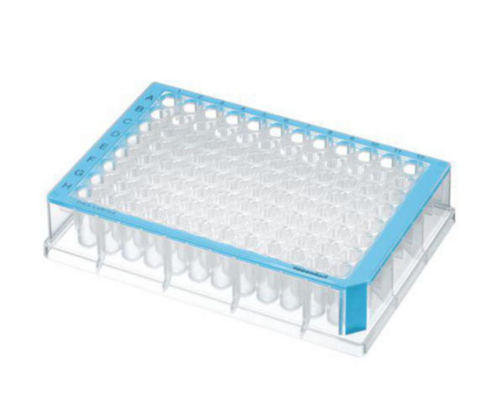 Deep-Well Plates DNA LoBind, 96/384-well, PP
