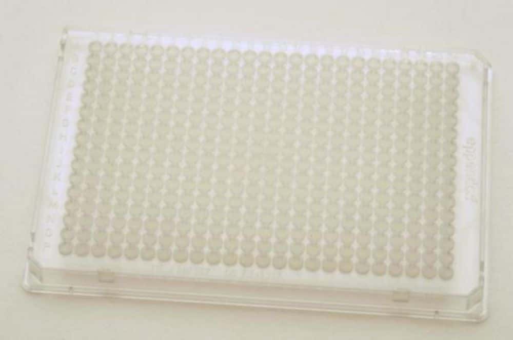 PCR-Platten Eppendorf twin.tec® PCR Plates 384