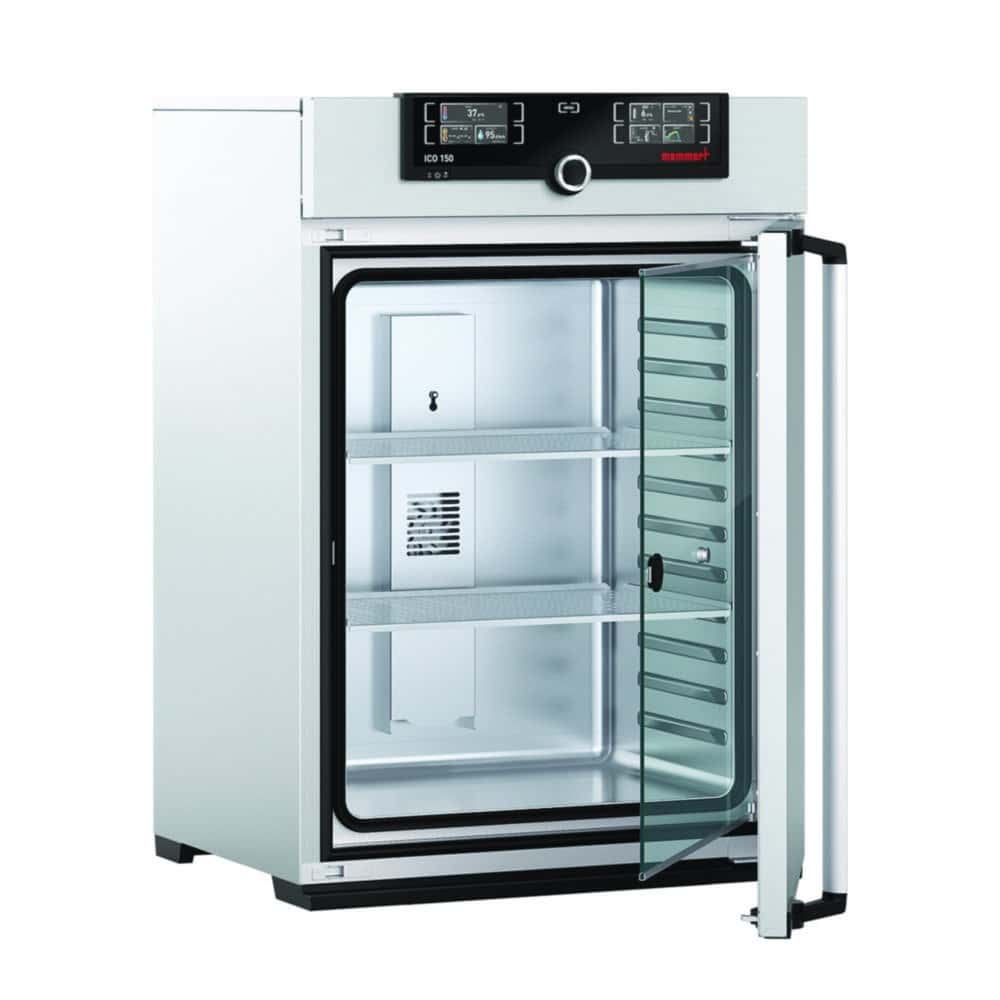 CO2 incubator ICO