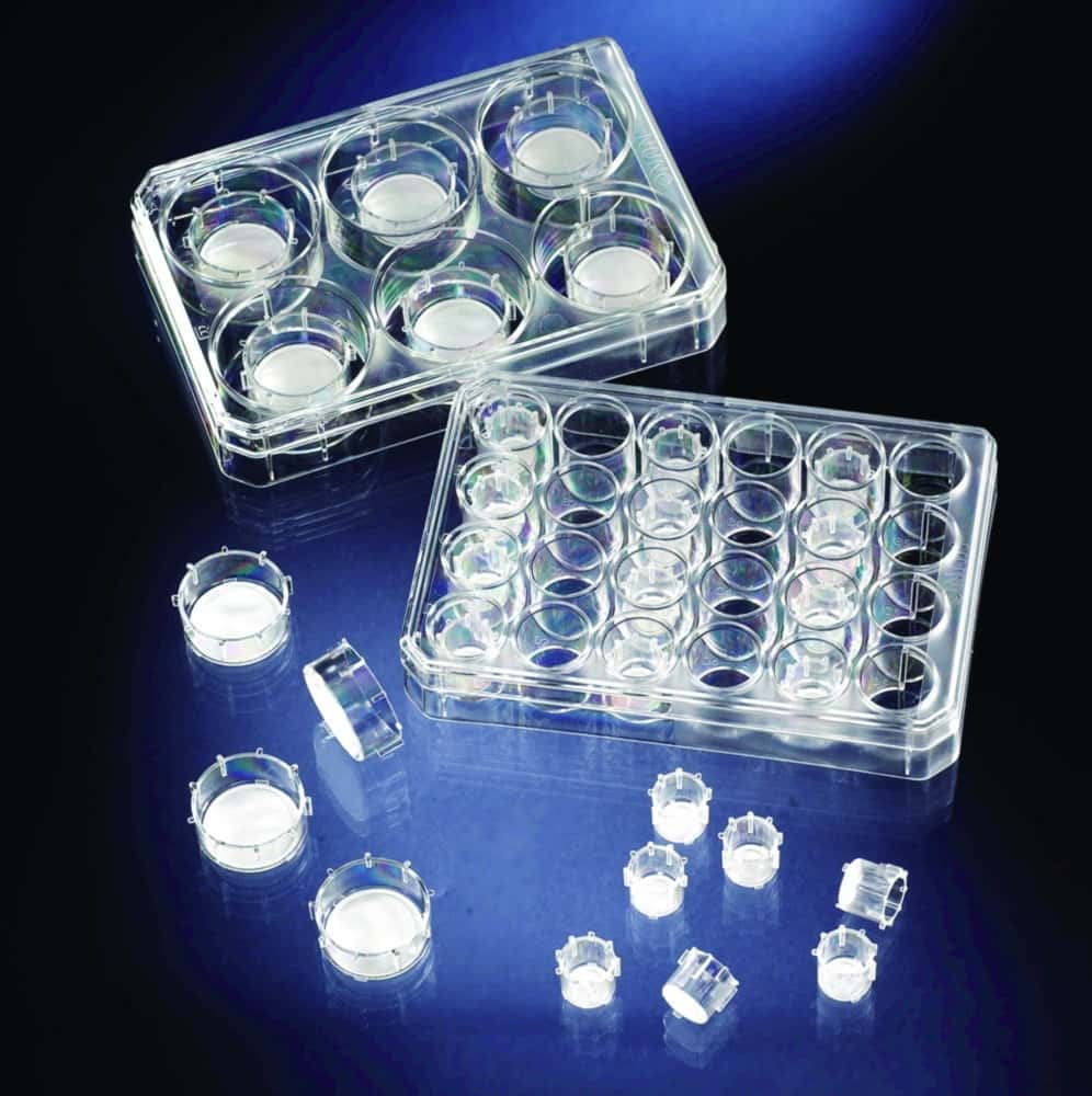 Cell Culture Inserts and Carrier Plates, PC, sterile