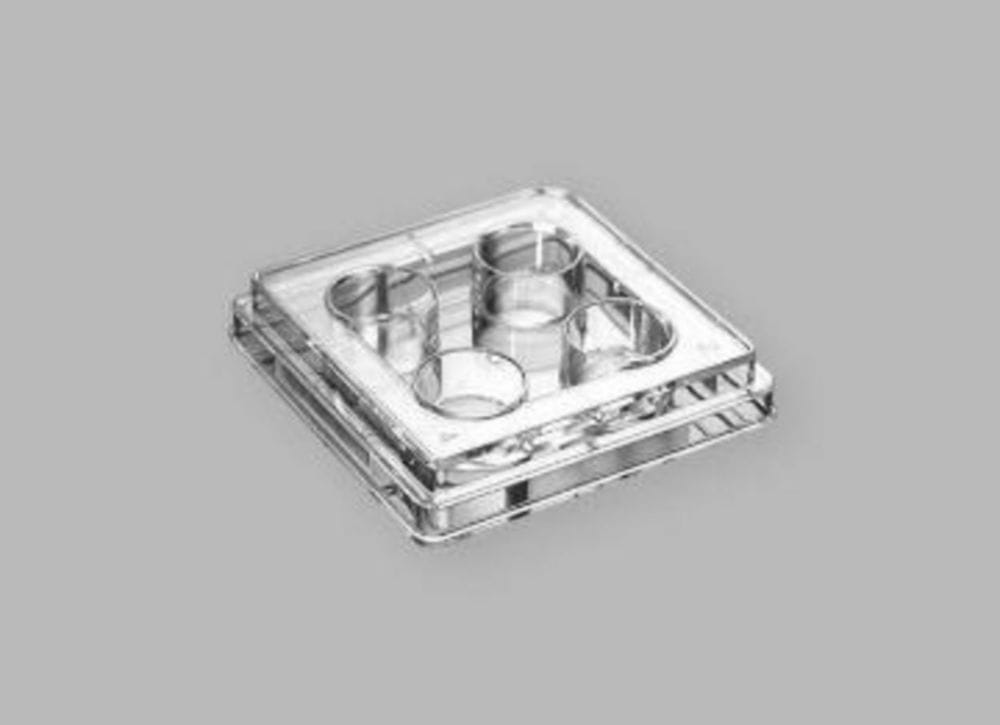 Cell Culture Plates, treated, PS, sterile