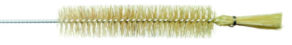 Test tube brushes with head bundle