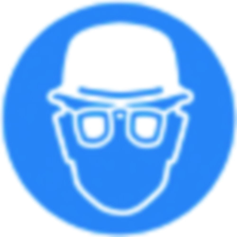 PSA-Aufbewahrungsboxen SecuBox Maxi, Kopf- und Augenschutz