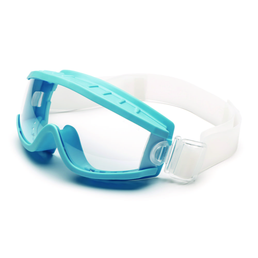 Panoramic Eyeshield 619, Polycarbonate, indirect ventilation