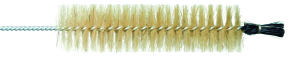 Beak brushes with head bundle