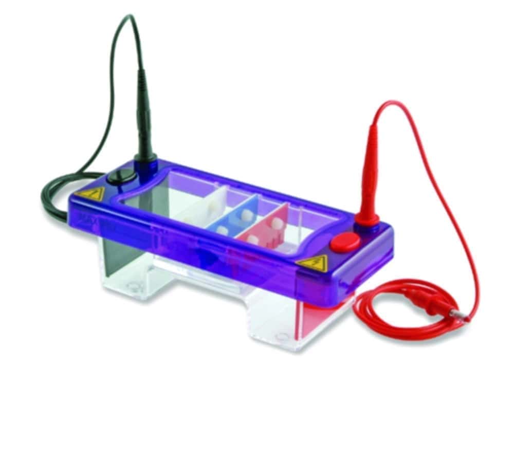 Gel electrophoresis tank MultiSUB Mini