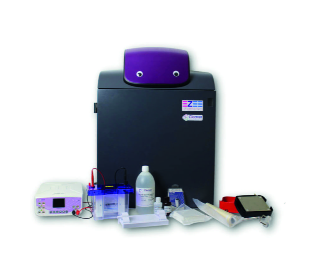 Mini Western Blotting Workflow Package WESTERNFLOWPROMINI