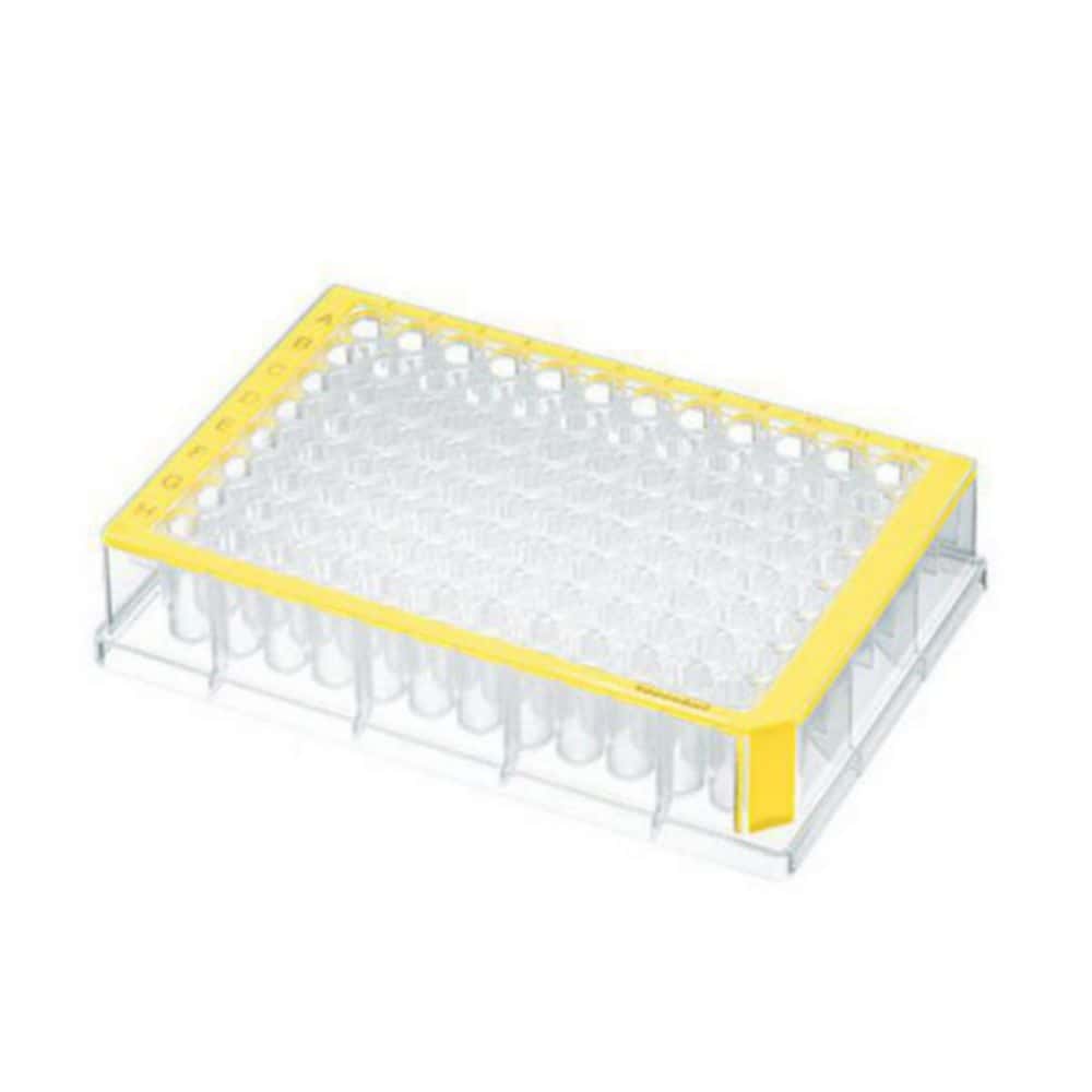 Deep-well-Platten, 96/384-well, PP, PCR clean