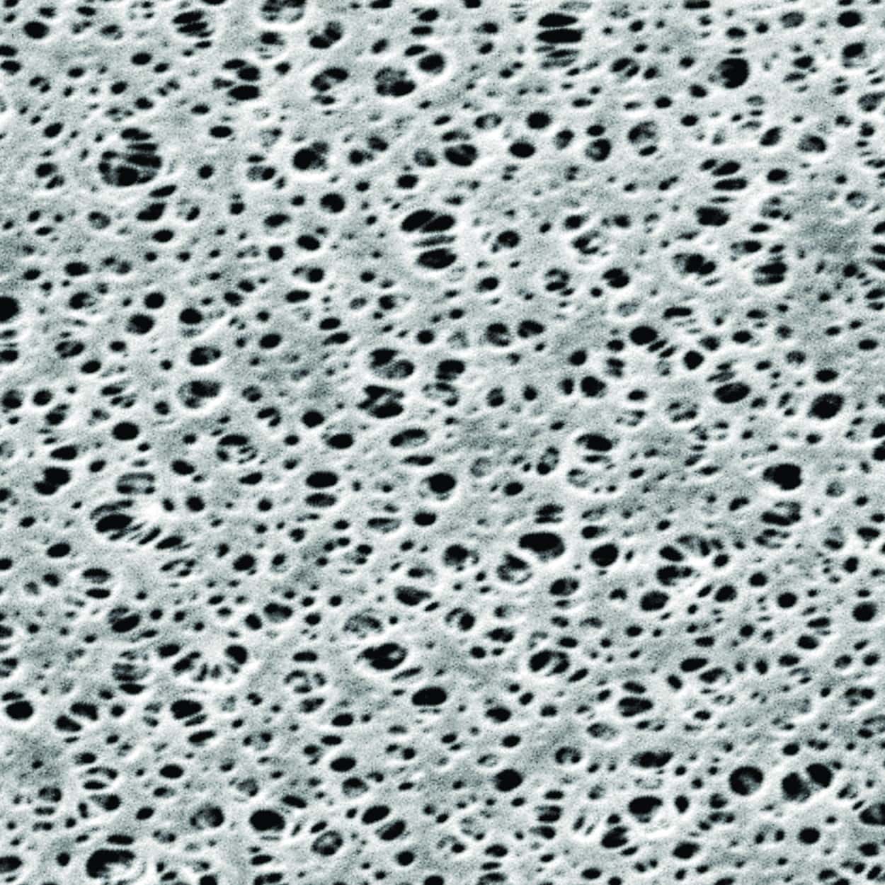 Membranfilter PES, hydrophil