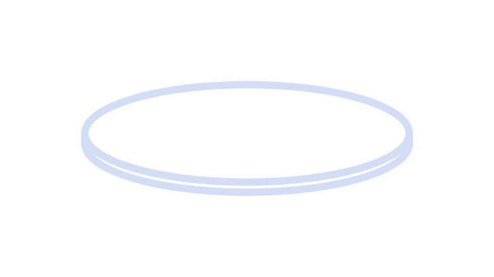 Septen N 8, PTFE, virginal, weiß Härte: 53° shore D, Septendicke: 0,25 mm, VE=100