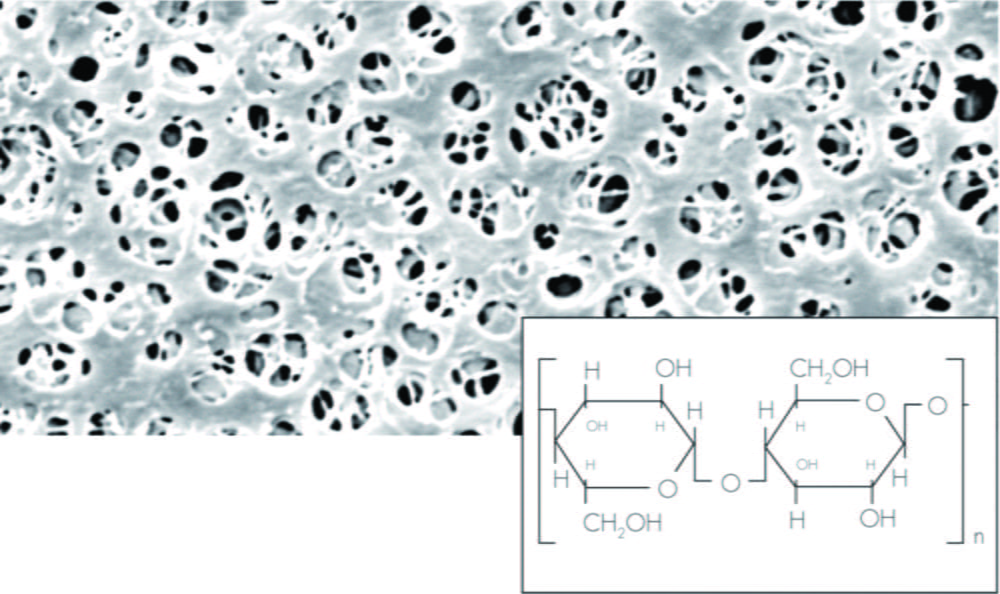 Membrane filters, regenerated cellulose