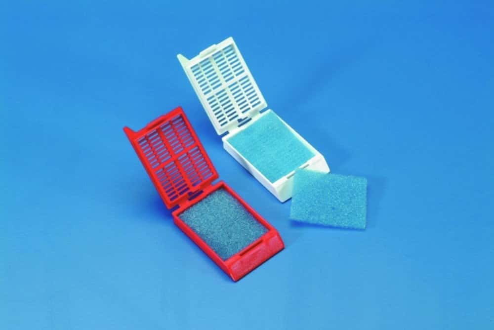 Eponge pour cassettes d'inclusion