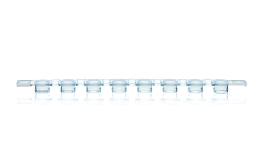 PCR caps, strips of 8, PP
