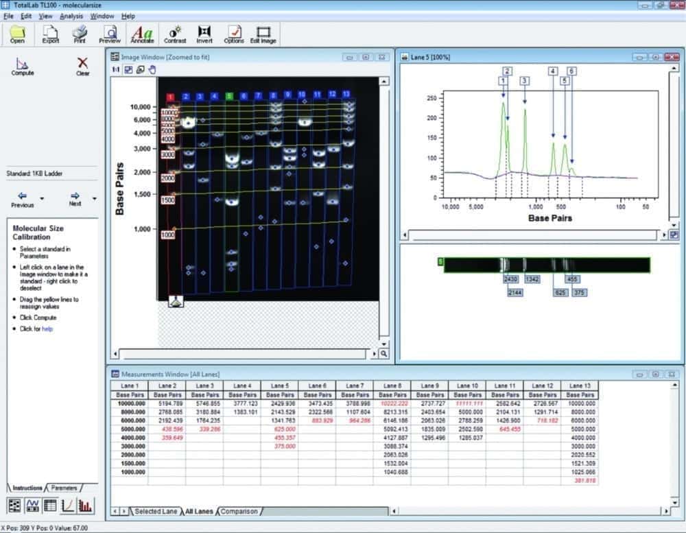 Gel Dokumentationssystem microDOC, mit UV-Transilluminator und Analysesoftware TotalLab™ 1D