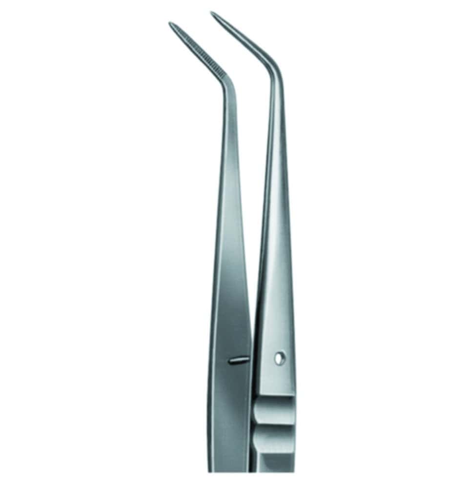 Laboratory forceps | häberle